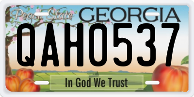 GA license plate QAH0537