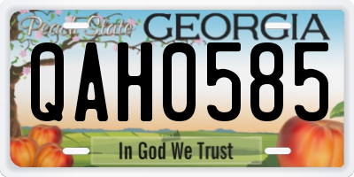 GA license plate QAH0585