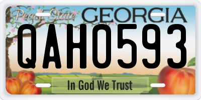 GA license plate QAH0593