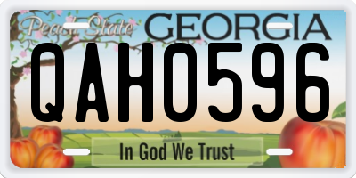 GA license plate QAH0596