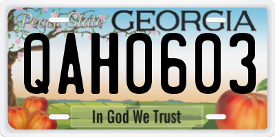 GA license plate QAH0603