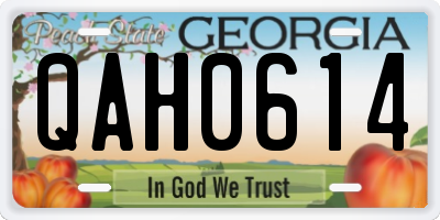 GA license plate QAH0614