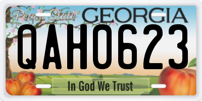 GA license plate QAH0623