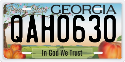 GA license plate QAH0630