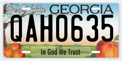GA license plate QAH0635