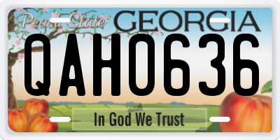 GA license plate QAH0636