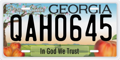 GA license plate QAH0645