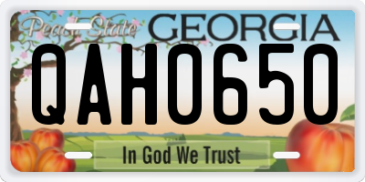 GA license plate QAH0650