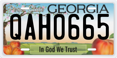 GA license plate QAH0665