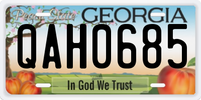 GA license plate QAH0685