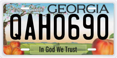 GA license plate QAH0690