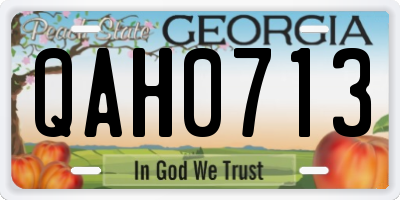 GA license plate QAH0713