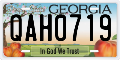 GA license plate QAH0719