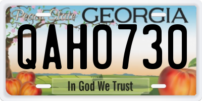 GA license plate QAH0730