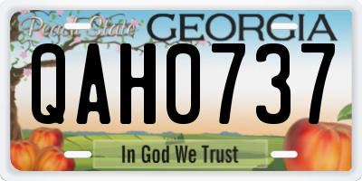 GA license plate QAH0737