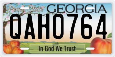 GA license plate QAH0764