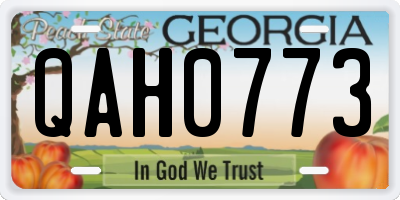 GA license plate QAH0773