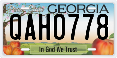 GA license plate QAH0778