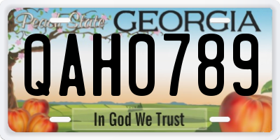GA license plate QAH0789