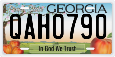 GA license plate QAH0790