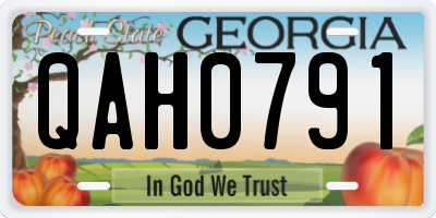 GA license plate QAH0791