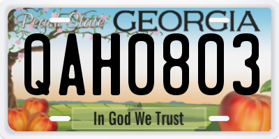 GA license plate QAH0803