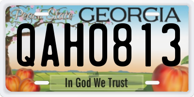 GA license plate QAH0813