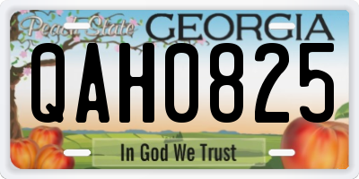 GA license plate QAH0825