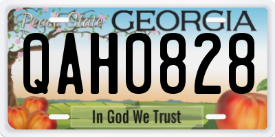 GA license plate QAH0828