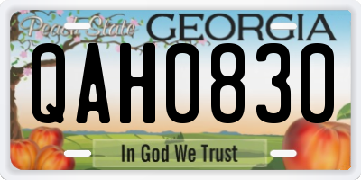 GA license plate QAH0830