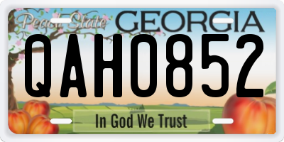 GA license plate QAH0852