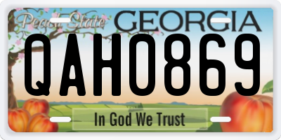 GA license plate QAH0869