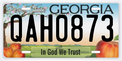 GA license plate QAH0873