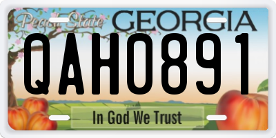 GA license plate QAH0891