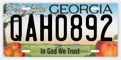 GA license plate QAH0892