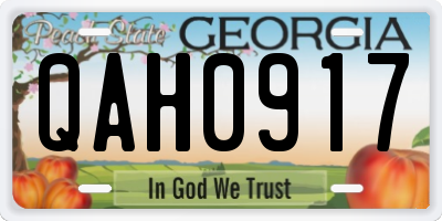 GA license plate QAH0917
