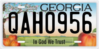 GA license plate QAH0956