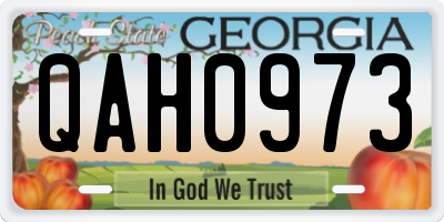 GA license plate QAH0973