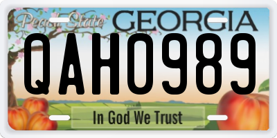 GA license plate QAH0989