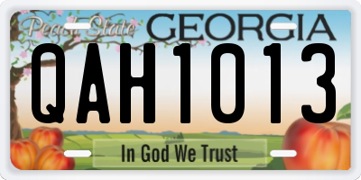 GA license plate QAH1013