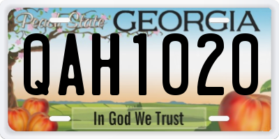 GA license plate QAH1020