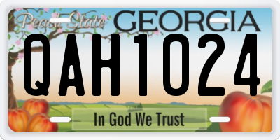 GA license plate QAH1024