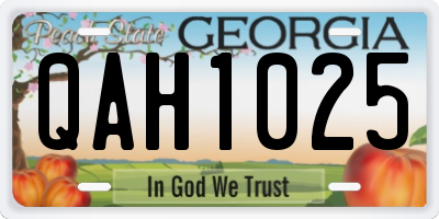 GA license plate QAH1025