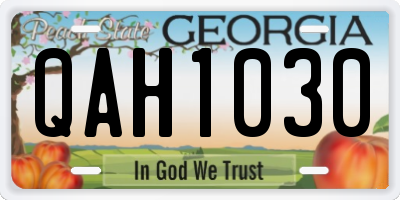 GA license plate QAH1030