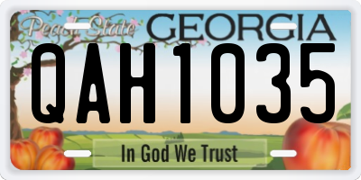 GA license plate QAH1035