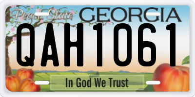 GA license plate QAH1061
