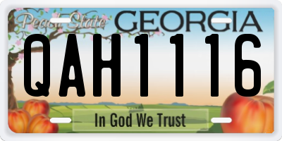 GA license plate QAH1116