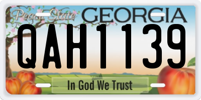 GA license plate QAH1139