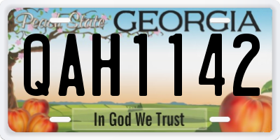 GA license plate QAH1142