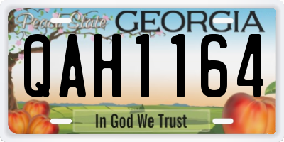 GA license plate QAH1164